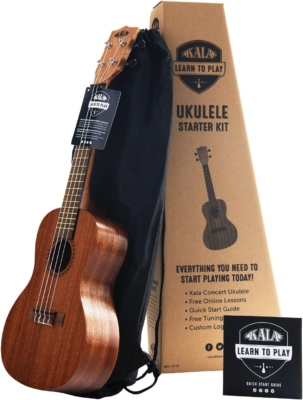 The 7 Best Ukulele for Beginners 8