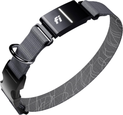 The 5 Best GPS Dog Trackers 3