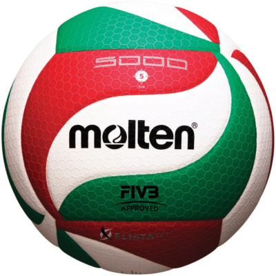 The 5 Best Volleyballs 4