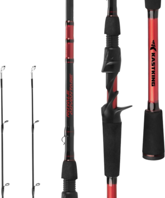 Top 5 Best Fishing Rods in the USA 2