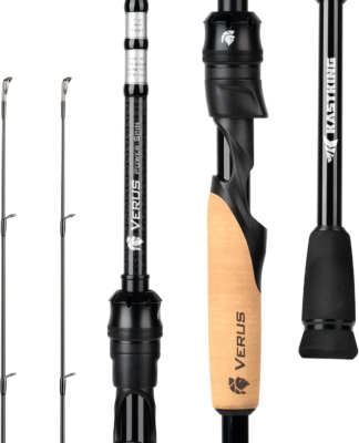 Top 5 Best Fishing Rods in the USA 3