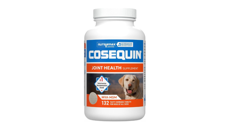 Best Dog Supplements