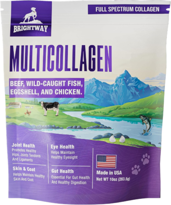 The 10 Best Dog Supplements in (2026) 6