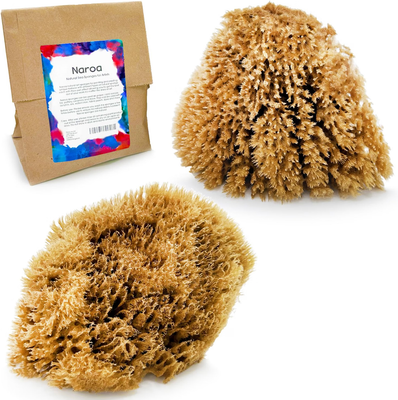 The 5 Best Pottery Sponges 5